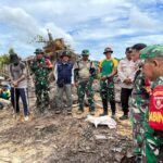 Satgas Pamtas Yomarmed 11 Kostrad Bersama TDM dan Masyarakat Gotong Royong Tanam Jagung di Perbatasan