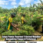 Satgas Pamtas Yonarmed 11 Kostrad Wujudkan Kemandirian Pangan di Perbatasan
