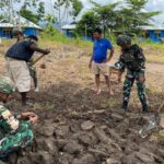 Ketahanan Pangan Satgas Yonif 521/DY Bantu Warga Manfaatkan Lahan Kosong Jadi Kebun Produktif