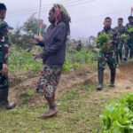 Berkebun Mandiri Satgas Yonif 521/DY Petik Hasil Panen Bersama Masyarakat Distrik Napua