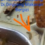 Kepala Gudang /Dapur Makanan Bergizi,Korwil Kecamatan Kejuruan Muda,"Jangan Berikan  Makanan Yang  Tidak Sehat