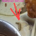 Bung"Zulfadli"Aktivis LSM Bungoeng Lam Jarou Aceh, Kembali Surati Kepala Kejaksaan Agung Republik Indonesia  Di DKI Jakarta
