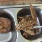 Tanggapan Kepala Sekolah SMK Negeri 03 kabupaten Tangerang Terkait Makanan MBG Yang Basi dan Tidak Layak Konsumsi