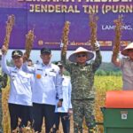 Panglima TNI Dampingi Menhan RI Tinjau Panen Kedelai Garuda Merah Putih  di Lampung Utara
